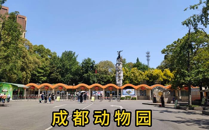 chengdu zoo