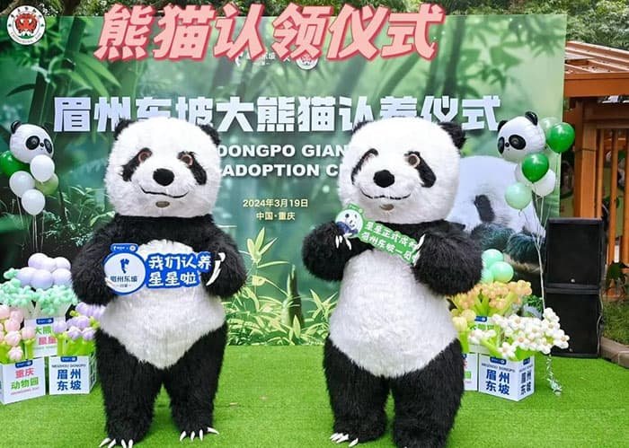 panda adoption ceremony